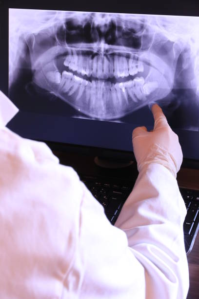 Best Emergency X-Rays and Diagnostics in Burton, OH
