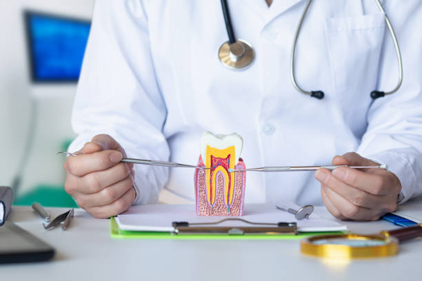 Best Emergency Pediatric Dental Care in Burton, OH